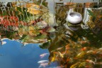 Riflesso sacro 2- dissacrazione
