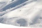 la libert su due scie di vento