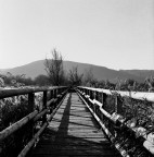 Medio Formato 2 Medio Formato 2