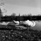 Medio Formato 4 Medio Formato 4