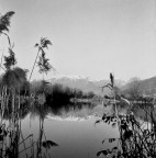 Medio Formato 5 Medio Formato 5