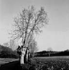 Medio Formato 6 Medio Formato 6