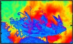 solarized