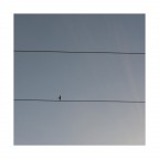 Minimal - volo secante