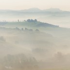 Dreamy Morning Dreamy Morning