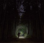 Pol in the shadow Pol in the shadow