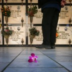 IMG_1775 IMG_1775
