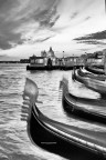 Venessia Venessia