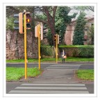 La signora in giallo La signora in giallo