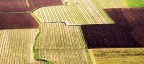 Tappeto di campagne