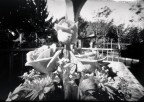 petaloso ;/) pinhole petaloso ;/) pinhole