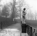 Nebbia al parco Nebbia al parco