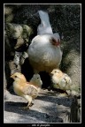 Vita di famiglia...
