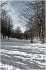 Campigna