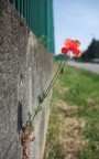 A tutti i costi