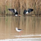 ..uhaaatha!!!!.. ..uhaaatha!!!!..