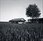 il giocatore di biliardo ;/) il giocatore di biliardo ;/)