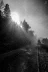 ..walking..