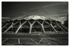 Volley Rome