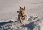 neve che passione neve che passione