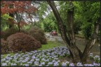 1000 Miglia 2016 - Parco Sigurt