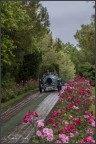 1000 Miglia 2016 - Parco Sigurt