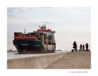 E la nave va...