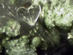 com' strana la natura,quarzo a forma di cuore grande meno di 1mm,foto al microscopio coolpix 4500