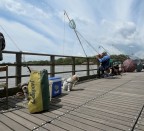 Attento ad ogni movimento....... Attento ad ogni movimento.......