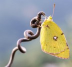 Dormi ancora Dormi ancora