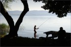 Lago di Bolsena.Fotocamera compatta sub Sony DSC-W170,1/320 F.10 iso 100. Consigli e critiche sempre ben accetti.
