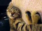 shhhhhhhhhhhhh