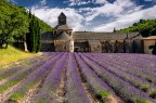 Abbazia di Sénanque Abbazia di Sénanque