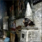 Pulecenella Pulecenella