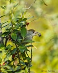 crop 50%
commenti e punti di vista ben accetti