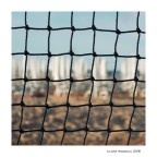 L'estate in rete... L'estate in rete...