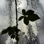 Static water Static water