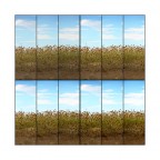 La duna... e le sue gemme La duna... e le sue gemme