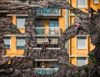 home climber