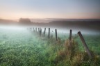 Misty land