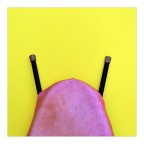 De animalibus De animalibus