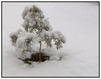 gennaio 2005