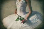 Una Rosa per Te