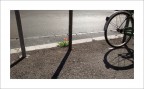 La vita è ovunque La vita è ovunque