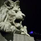 cosa mangiano i leoni? cosa mangiano i leoni?