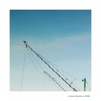 Pesca...riflessa Pesca...riflessa