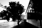 Esterni