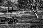 In assorta solitudine In assorta solitudine
