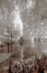 Unreal Lake