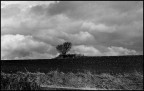 paesaggio paesaggio